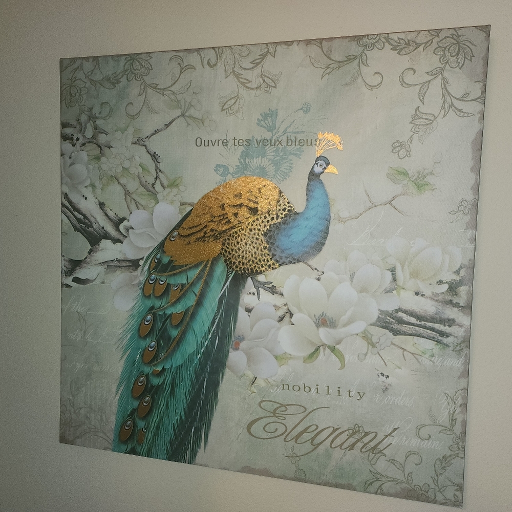 Peacock Canvas Artwork